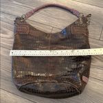 Brown Crocodile Photo 6