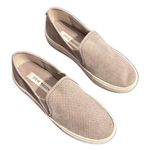 Steve Madden Gray Klarissa Slip On Sneaker Photo 3