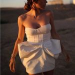 ZARA NWT  voluminous Bow Skirt Size S Photo 1