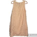 Pink Tartan Sleeveless Peach Dress With Flower Appliqué Size 14 Photo 1