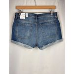 sts blue Molly Short 10" High Rise Denim Photo 3
