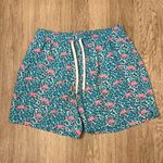 Chubbies  swim trunks  Photo 0