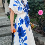 Natori White Blue Floral Collared Front Button Cinched Waist Andora Dress Size 8 Photo 0