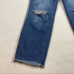 Ashley Mason Ripped Distressed Raw Hem Crop Jean Photo 8