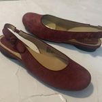 a.n.a  NIB Wine Red Round Toe Flat 6 Women’s Suede Dressy Formal Photo 0