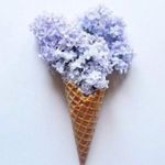 Pendleton  Top S NWT Wrap Striped Silk Cotton Chic Business Casual 3/4 Sleeves Photo 9