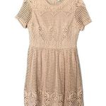 The Clothing Company Cream Lace Dress Photo 0