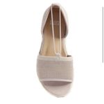 Eileen Fisher  Mews Mesh‎ Slip-On Espadrille Blush Women Open-Toe Sandal Size 10 Photo 1