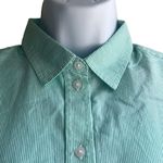 Everlane  Womens 00 Silky Cotton Relaxed Shirt Green White Stripe Long Sleeve NEW Photo 2