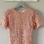 Champagne & Strawberry Pink Lace Short Sleeve Midi Dress NEW Size M Photo 1