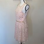 Nordstrom Love Nickie Lew nude lace sleeveless midi formal dress Photo 2