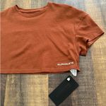 Alphalete NWT  Crop Top Rust Brown Short Sleeve Gym Tee Size XS Photo 2