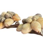Vintage Cowrie Shell Cluster Clip On Earrings Estate Vacation Beach Retro Estate Gray Photo 2