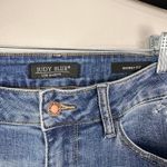 Judy Blue  Women's High Waist Skinny Fit Boho Embroidered Dandelion Jeans Sz 14W Photo 12