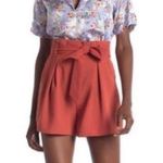 Free Press Paperbag Tie Waist Shorts Photo 1