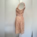 Everly Peach Sleeveless Fit & Flare Dress Lace with Tiny Black Polka Dots Medium Photo 6