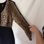 Nicole Miller Animal Print Dress 10 Y2K Leopard Mob Wife Sheer Edgy Sheer Club Photo 3