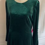 Tahari  Long Sleeve V-Back Velvet Gown - Size 14 Photo 2