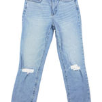 J.Crew  Essential Straight Denim Distressed Blue Jeans Women’s Size 27 Photo 0