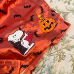 American Eagle Sleep Shorts Photo 4