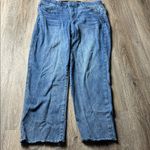 Democracy “Ab Technology” Ankle Jeans Size 12 Photo 1