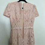 Rachel Parcell Floral Lace Sheath Mini Dress in Rose Smoke Pink Photo 9