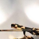 Beach Bunny Beach‎ Bunny Lady Lace Leopard Triangle Bikini Top Photo 4