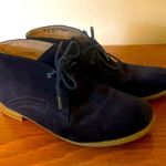 Franco Sarto  Navy Suede Ankle Boots Photo 0