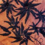 Free People Meadows of Medallion coral dress/ tunic, coverup- embroidered Photo 6