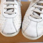 Gucci X Sega Guccy logo stars falacer sneaker size IT 35.5 US 5.5 Photo 5