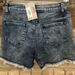 Crazy Train  women’s shorts Photo 2