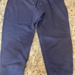 All In Motion  Dark Blue Cropped Pants Photo 0