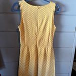 Miami Francesca’s  yellow polka dot dress Photo 2