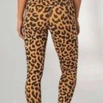 Balance Athletica NWOT  Ascend Pant in King Cheetah Size Small Orange Black Photo 4