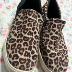 Soda  Leopard Print shoes Photo 1