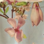 Joan Vass Floral Mid Length Jacket Photo 4