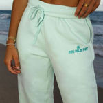 Pink Palm Puff NWT  Classic Sweatpants in Mint Breeze Size Large Photo 0