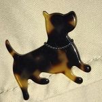 Banana Republic Tortoise shell Scottie Photo 0