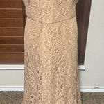 Anny Lee Beige Lace Gown Dress Sequins Formal Plus 3XL mother of bride groom Photo 0