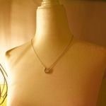 Silver Stainless Steel Horseshoe Necklace Photo 6