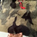 Alembika Faux Fur Camo Camisole Tube Top Gorpcore Green Drawstring Closure Size XXS Photo 2