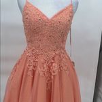 JJ's House JJ’s House Coral Tulle Lace Embroidered Fit Flare Dress Spaghetti Strap US 2 Photo 4