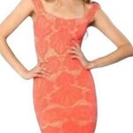 Free People Intimately Orange/Pink Stretch Lace Body Con Mini Dress - XS/S Photo 0