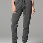 Talentless  Steel Gray Heavyweight Jogger Sweatpants Photo 0