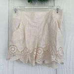 Xhilaration Lace Shorts Photo 0