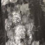 Rock & Republic  top small gray oversized tee distressed material floral Photo 2