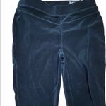 BLANK NYC  Pull On Velour Size 27 Jewel Tone Super Dark Green Pants. Photo 1