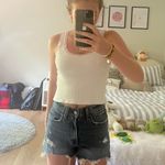 Abercrombie & Fitch Abercrombie Shorts Photo 3