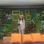 Abercrombie & Fitch Abercrombie Sloane Tailored Pants Curve Love Photo 2