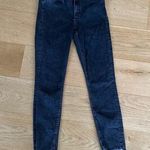 Black Orchid Photo 0